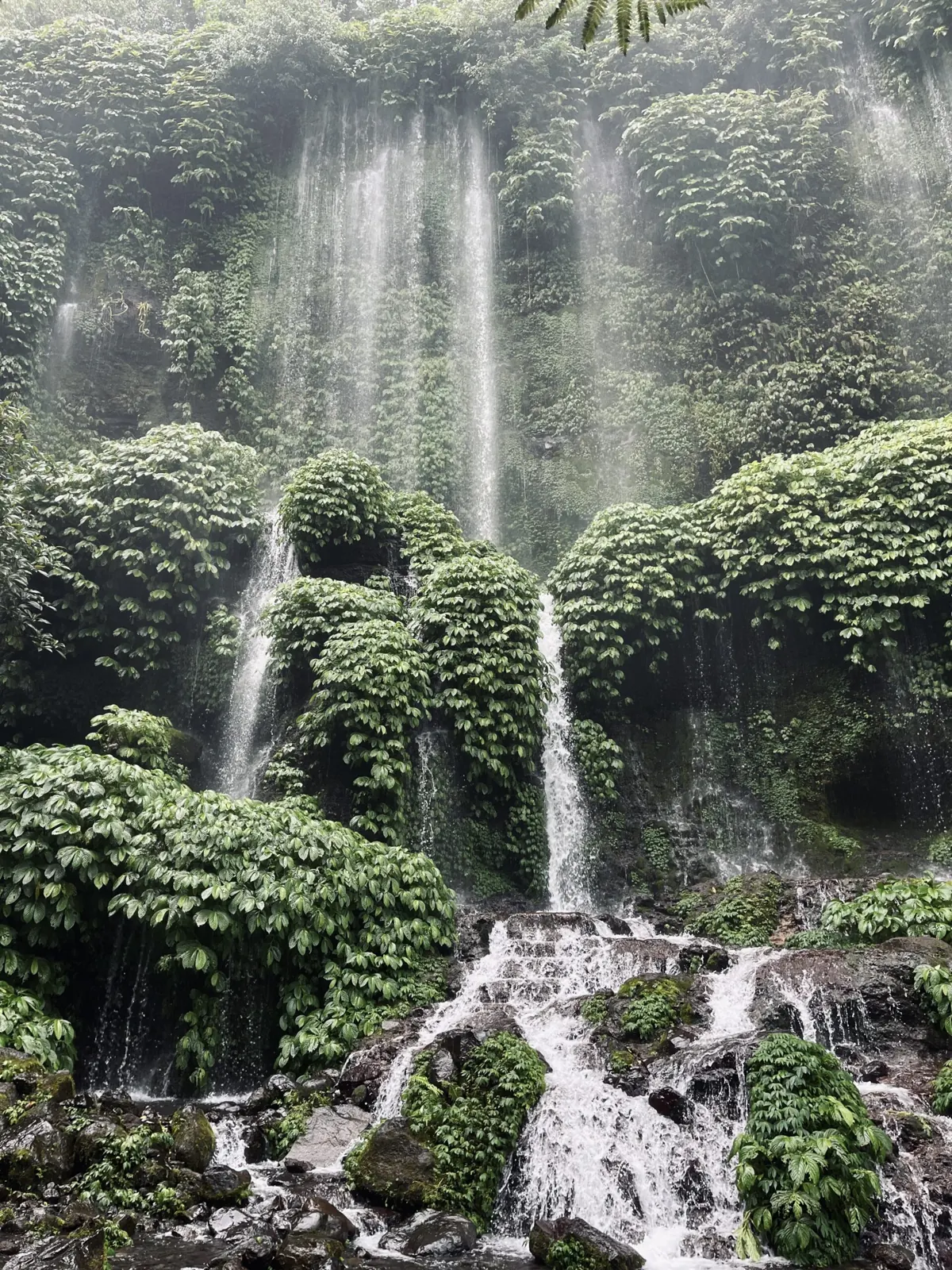 Waterfall falling down a moss-covered cliff in a Lombok forest
