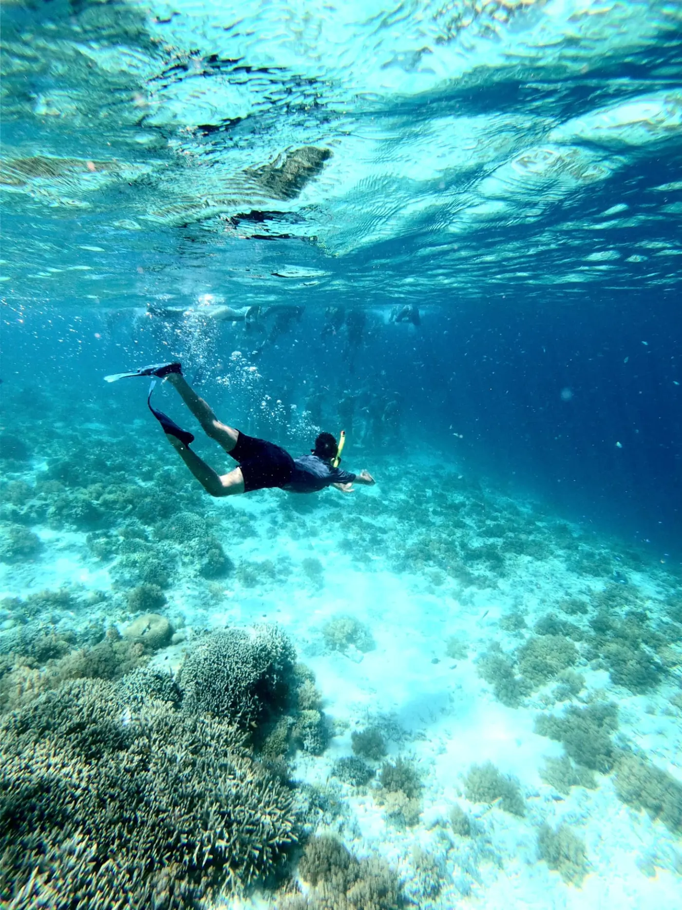 Snorkeler swimming over coral reef in clear blue water